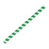 Fiesta Compostable Paper Smoothie Straws Green Stripes (Pack of 250)
