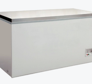 BD466F Chest Freezer with SS lid