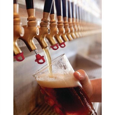 Chef Master FB254 Beer Tap Plugs (Pack of 6)